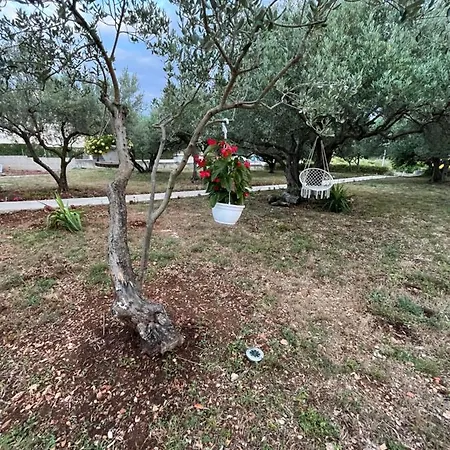 Apartman Oliva Zadar