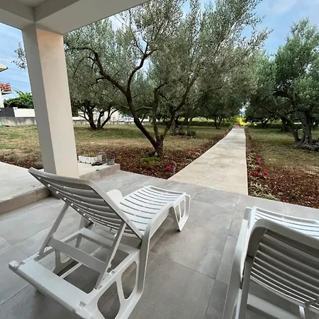 Oliva * Zadar